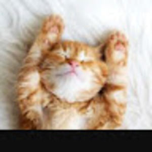 Meet your Posher, Wendy